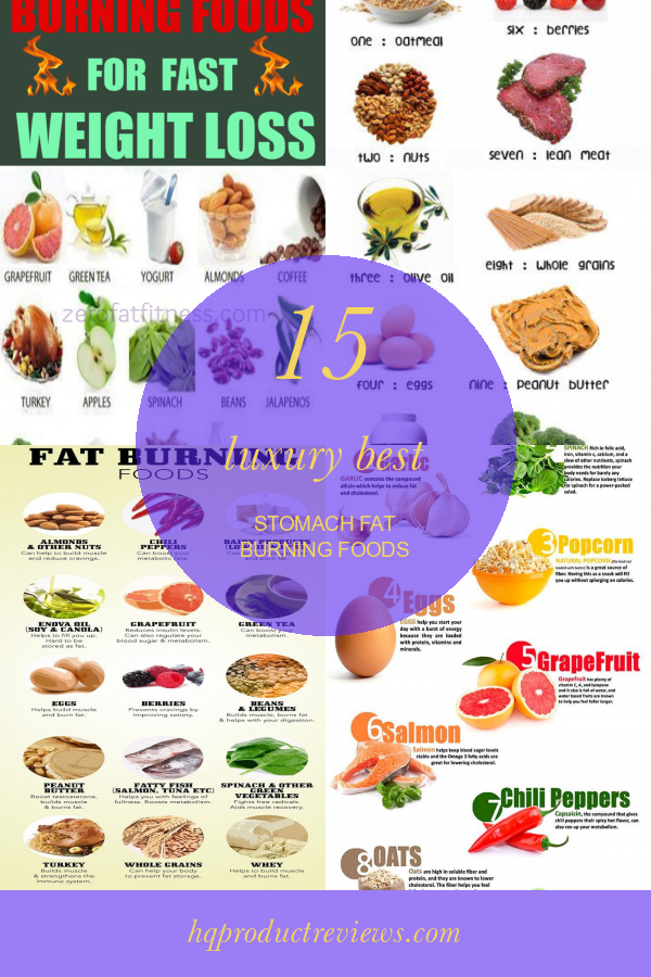 15 Luxury Best Stomach Fat Burning Foods Best Product Reviews